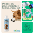 Shampoo prémium con probióticos antipicazón