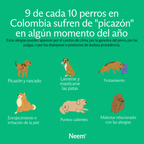 Shampoo prémium con probióticos antipicazón