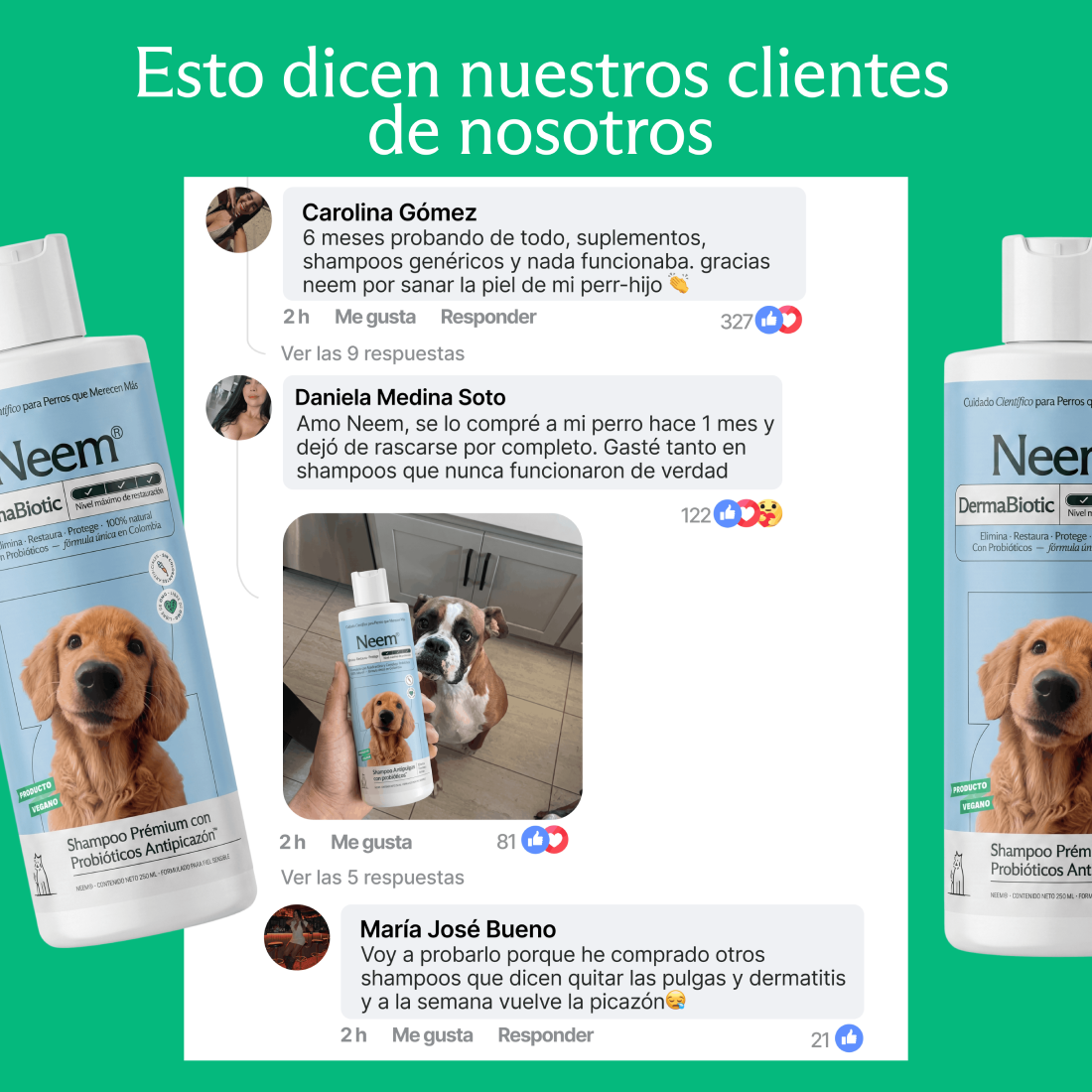 Shampoo prémium con probióticos antipicazón
