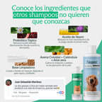 Shampoo prémium con probióticos antipicazón