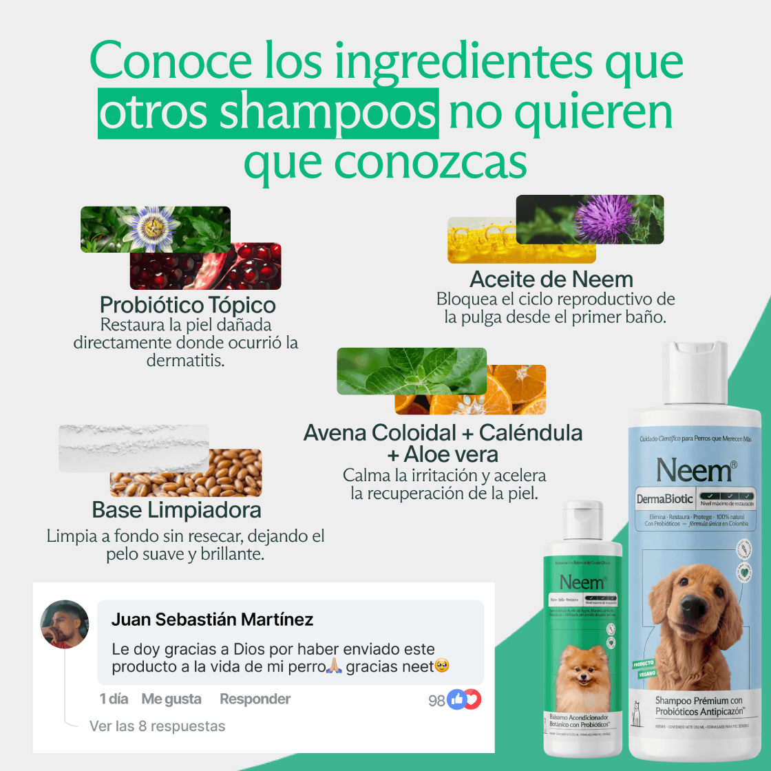Shampoo prémium con probióticos antipicazón